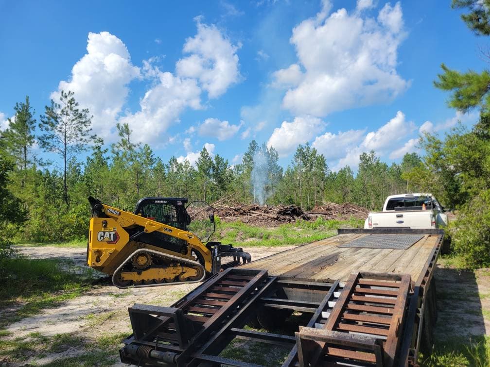 Cleared debris piled and ready for disposal after a tree job