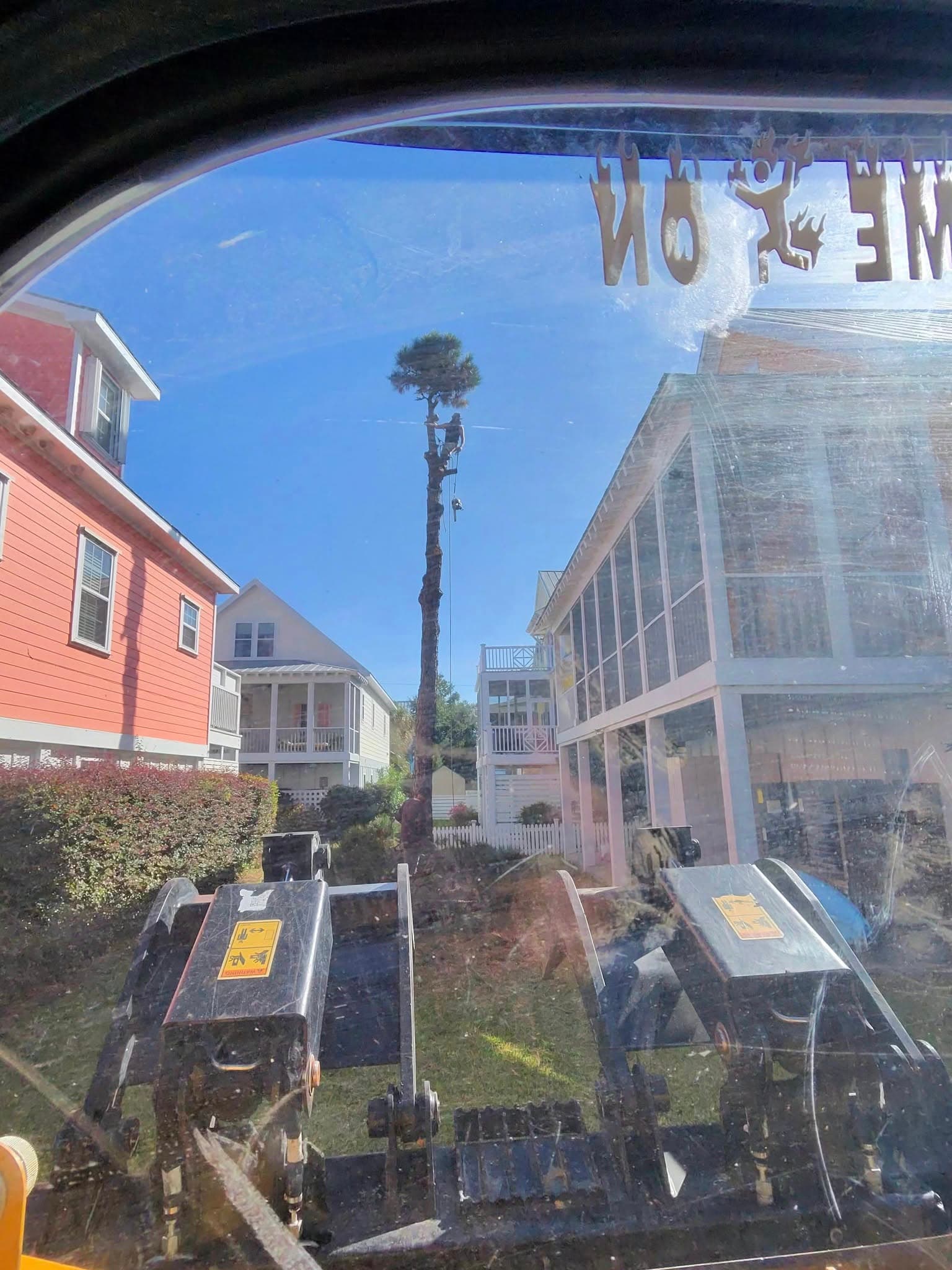 Tree Masters crew at work — close-up of a job in progress